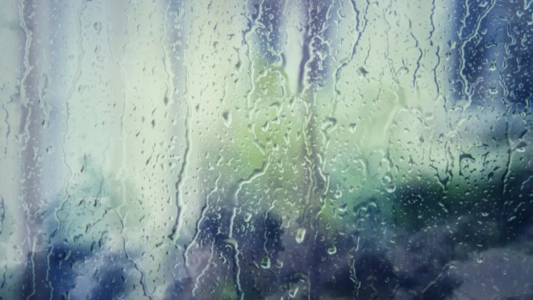 梅雨時に必須！ 車内の臭い・湿気対策で、雨のドライブを快適に。