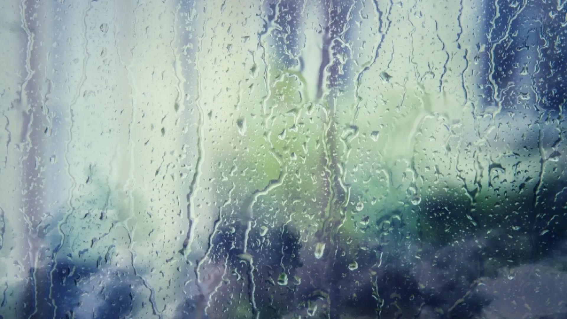 梅雨時に必須！ 車内の臭い・湿気対策で、雨のドライブを快適に。