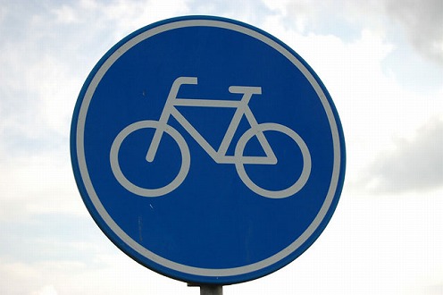 国内での車外エアバッグ開発状況